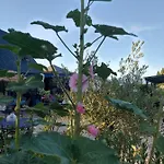 Le Paradis Bleu Bosville