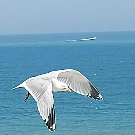 Le Paradis Bleu