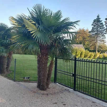 Le Paradis Bleu 아파트 *