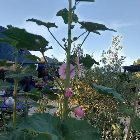 Le Paradis Bleu Bosville