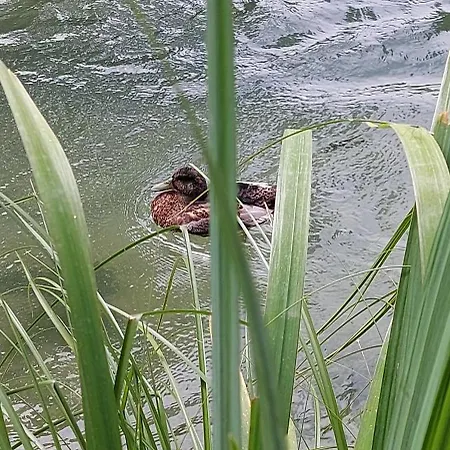 Le Paradis Bleu 아파트