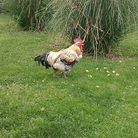 Le Paradis Bleu 아파트 *